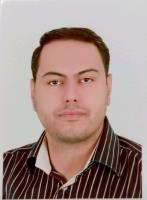 محمدجواد ویسی