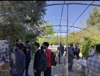💠 به همت مدیریت  فرهنگی و دانشجویی دانشکده پرستاری و مامایی و با همکاری مدیر فرهنگی دانشگاه برگزار شد.  🇮🇷  به مناسبت عملیات غرور آفرین سپاه پاسداران در عملیات (وعده صادق)برگزار شد نمایشگاه عکس با محوریت مظلومیت مردم غزه برگزار شد.   🗳  به منظور