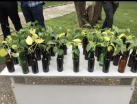 ☘️به مناسبت روز جهانی زمین پاک